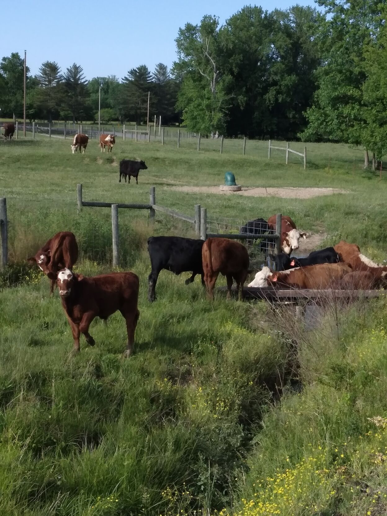 Delap Farm 10.jpg